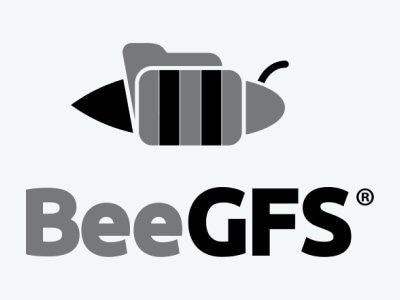 BeeGFS