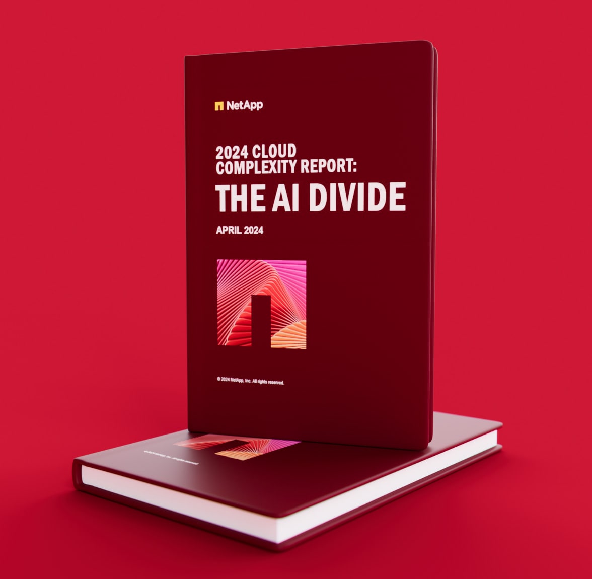 Rapport 2024 sur la complexité The AI Divide