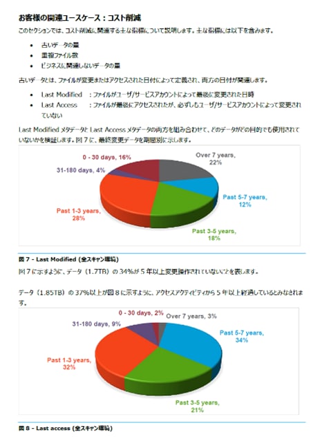 アセスメント成果物の例