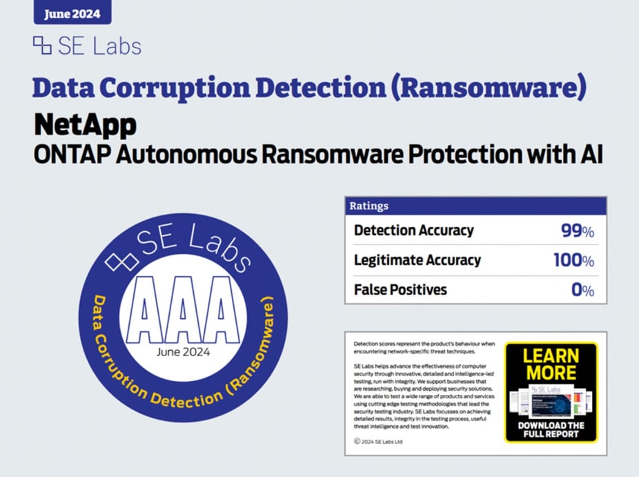 Date Corruption Detection (Ransomware)