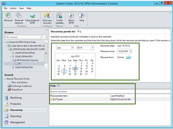 external dpm recovery point
