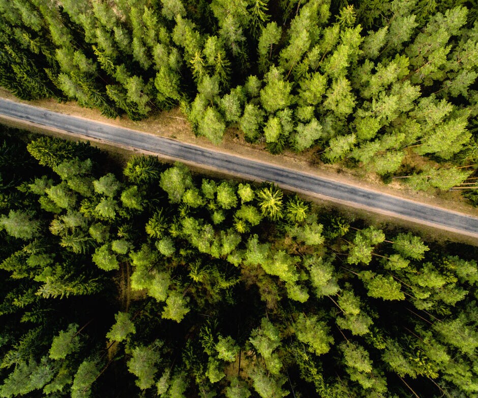 road in middle of landscape