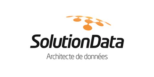 SolutionData logo